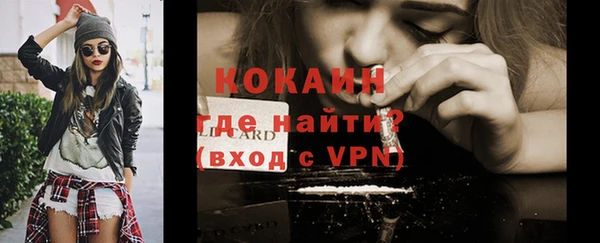 хмурый Елизово