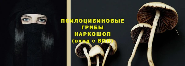 прущая мука Елабуга