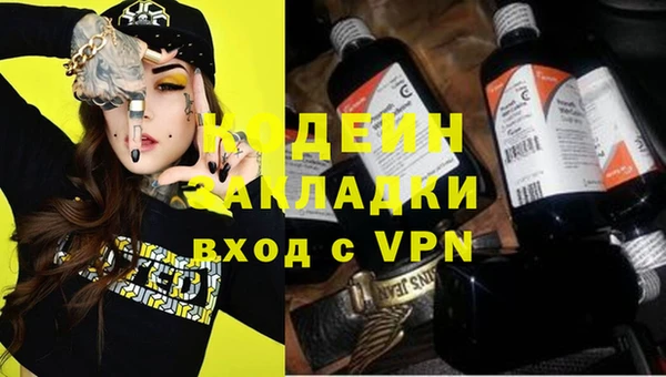 хмурый Елизово