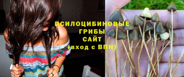 прущая мука Елабуга