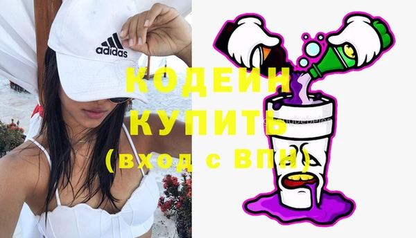 хмурый Елизово