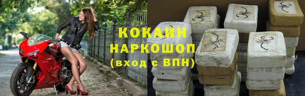 тгк Дмитриев