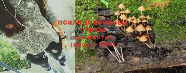 хмурый Елизово