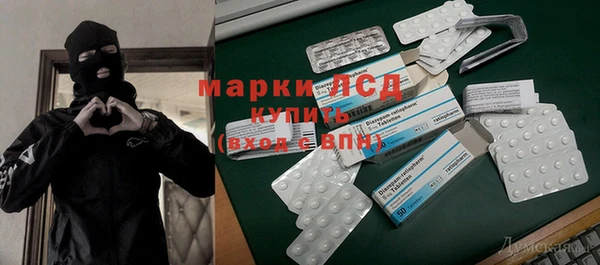 хмурый Елизово