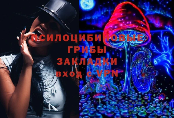 прущая мука Елабуга